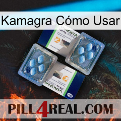 Kamagra Cómo Usar viagra5